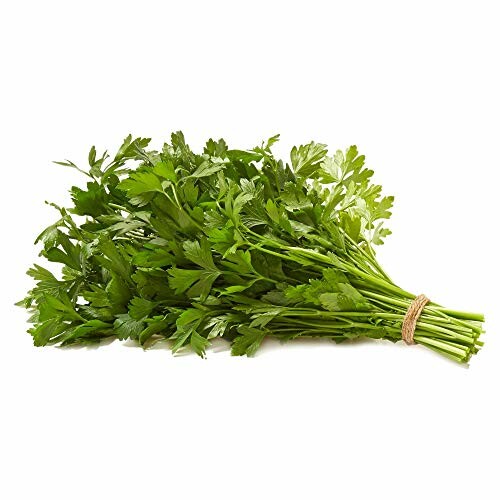 A bunch of fresh parsley tied with twine