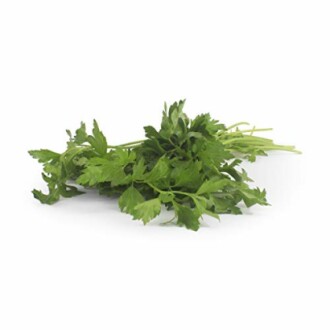 Italian Parsley Organic