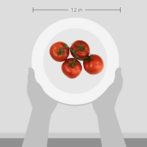 Hands holding a plate with four tomatoes, 12 inches wide.