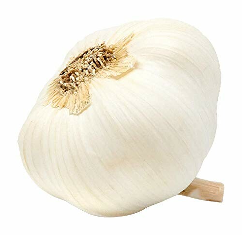 A single bulb of garlic on a white background.