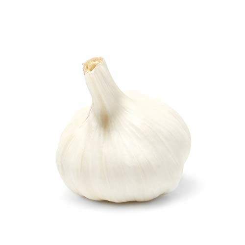 Single garlic bulb on a white background.